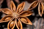 The history of the use of star anise in cooking