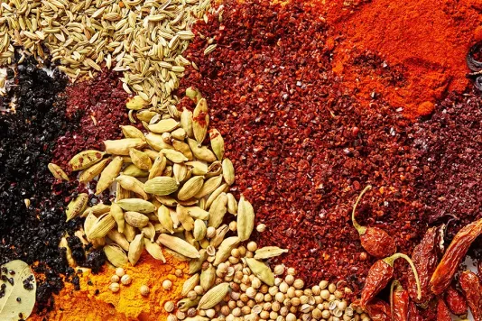 Seasonings, sauces, spices