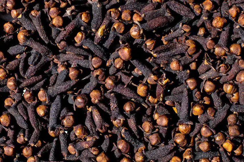 Специя гвоздика