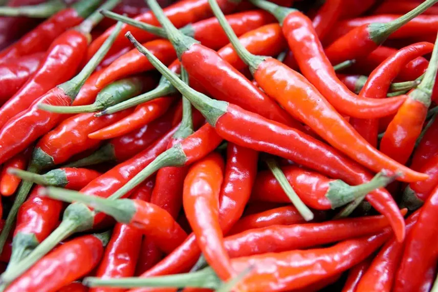 Красный острый перец чили